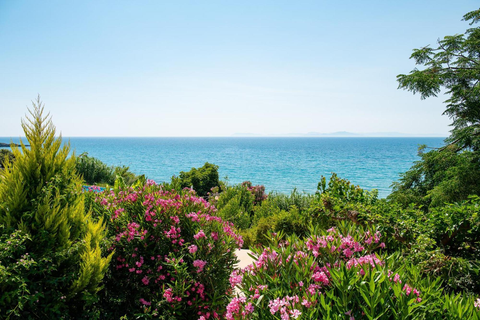 Mare Dei Suites Hotel Ionian Resort Skafidia Exterior foto